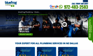 Bluefrogplumbingnedallas.com thumbnail