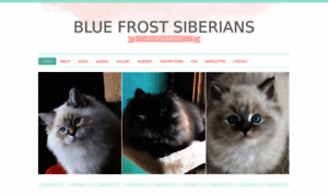 Bluefrostsiberians.com thumbnail