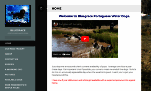 Bluegrace.com thumbnail