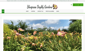 Bluegrassdaylilygardens.com thumbnail