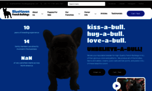 Bluehavenfrenchbulldogs.com thumbnail