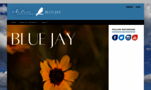 Bluejayjournal.ca thumbnail
