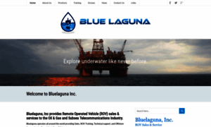 Bluelagunainc.com thumbnail