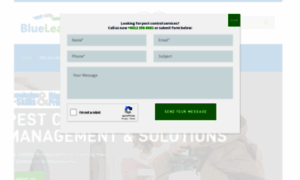 Blueleafspest.com thumbnail