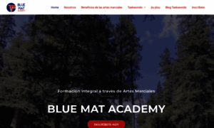 Bluematacademy.com.mx thumbnail