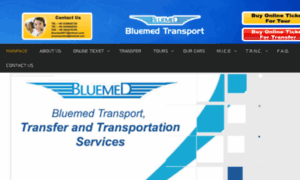 Bluemedtransport.com thumbnail