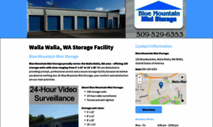 Bluemountainministorage.com thumbnail