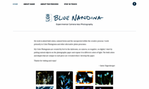 Bluenandina.com thumbnail