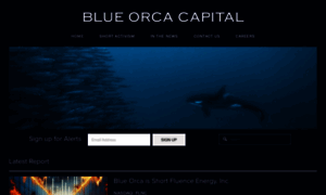 Blueorcacapital.com thumbnail