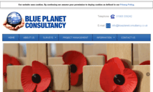 Blueplanetconsultancy.co.uk thumbnail