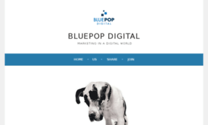 Bluepop.digital thumbnail