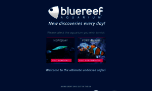 Bluereefaquarium.co.uk thumbnail