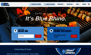 Bluerhino.com thumbnail