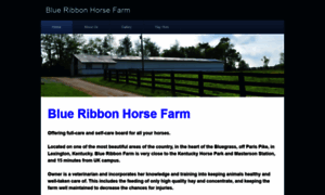 Blueribbonhorsefarm.com thumbnail