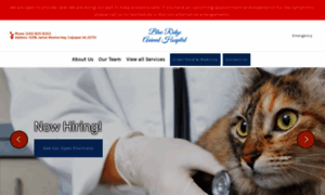 Blueridgeanimalhospitalculpeper.com thumbnail