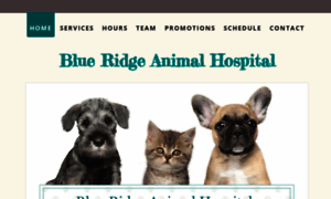 Blueridgeanimalhospitaltn.com thumbnail