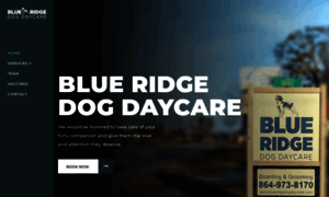 Blueridgedogdaycare.com thumbnail