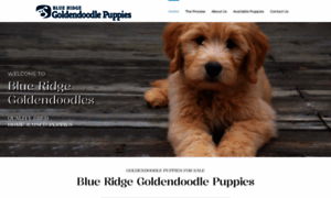 Blueridgegoldendoodlepuppies.com thumbnail