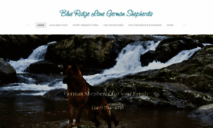 Blueridgelanegermanshepherds.com thumbnail