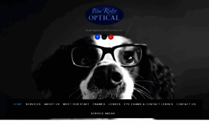 Blueridgeoptical.com thumbnail