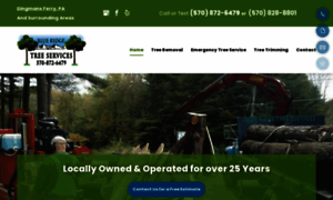 Blueridgetreeservices.com thumbnail