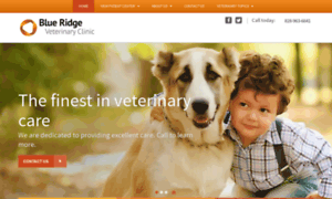 Blueridgevetclinic.com thumbnail