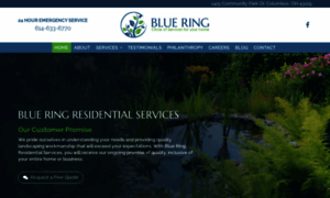 Blueringresidential.com thumbnail