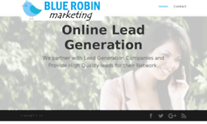 Bluerobinmarketing.com thumbnail