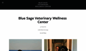 Bluesagevet.com thumbnail