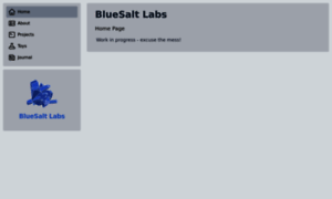 Bluesaltlabs.com thumbnail