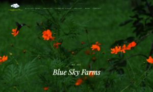 Blueskyfarmsnc.com thumbnail