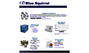 Bluesquirrel.com thumbnail