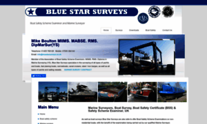 Bluestarsurveys.co.uk thumbnail