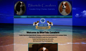 Bluetidecavaliers.com thumbnail