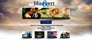 Bluevert.org thumbnail