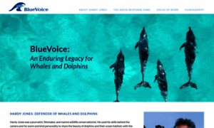 Bluevoice.org thumbnail