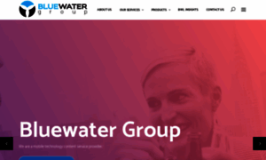 Bluewatergroup.co.ke thumbnail