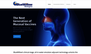 Bluewillow.com thumbnail