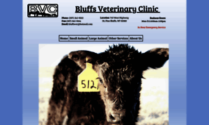 Bluffsvetclinic.com thumbnail