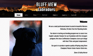 Bluffviewlabradors.com thumbnail