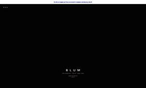 Blum-gallery.com thumbnail