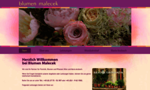 Blumen-malecek.at thumbnail