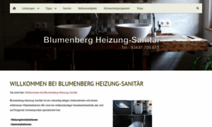 Blumenberg-hls.de thumbnail