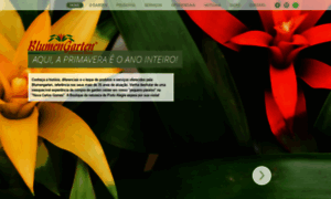 Blumengarten.com.br thumbnail