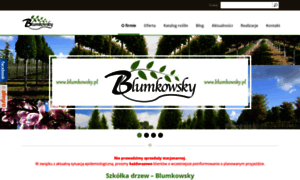 Blumkowsky.pl thumbnail