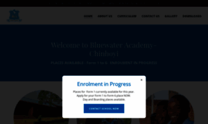 Bluwateracademy.com thumbnail