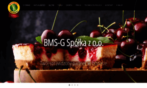 Bmsg.pl thumbnail