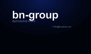 Bn-group.com thumbnail