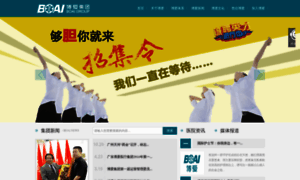 Boaigroup.com.cn thumbnail