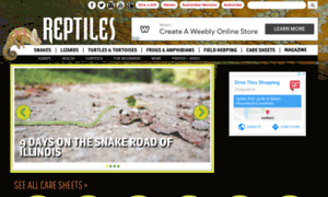 Board.reptilesmagazine.com thumbnail